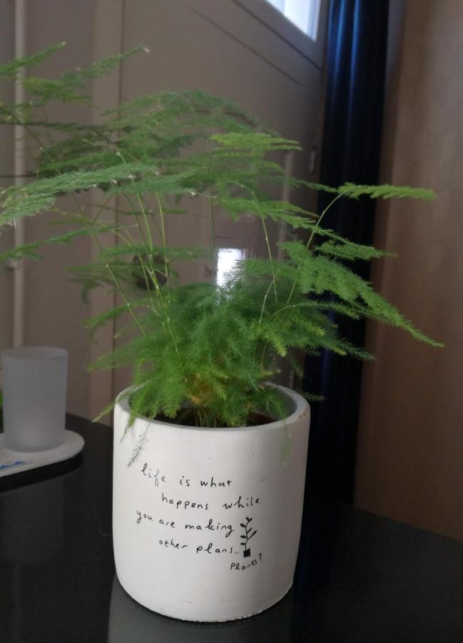De Ferver 陆瓦尔登 外观 照片